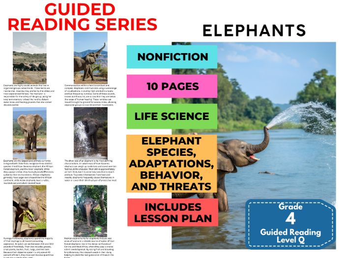 Year 5 Guided Reading Level Q - Elephants with Lesson Plan