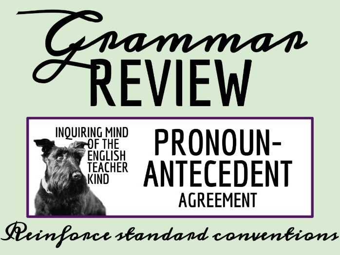 Grammar Practice Worksheet on Pronoun-Antecedent Agreement