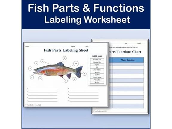 Fish Parts & Functions Labeling Worksheet