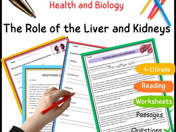 Reading Comprehension Worksheet: The Role of the Liver and Kidneys