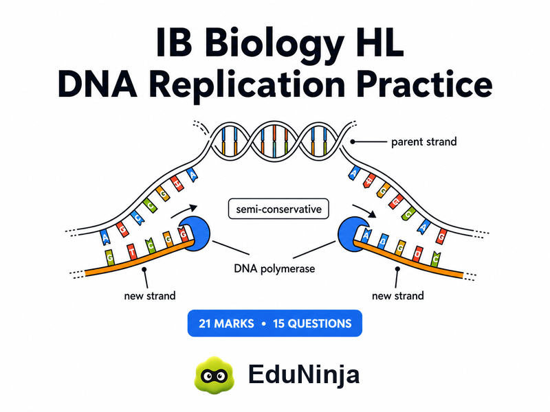 IB Biology DNA Replication Practice Paper