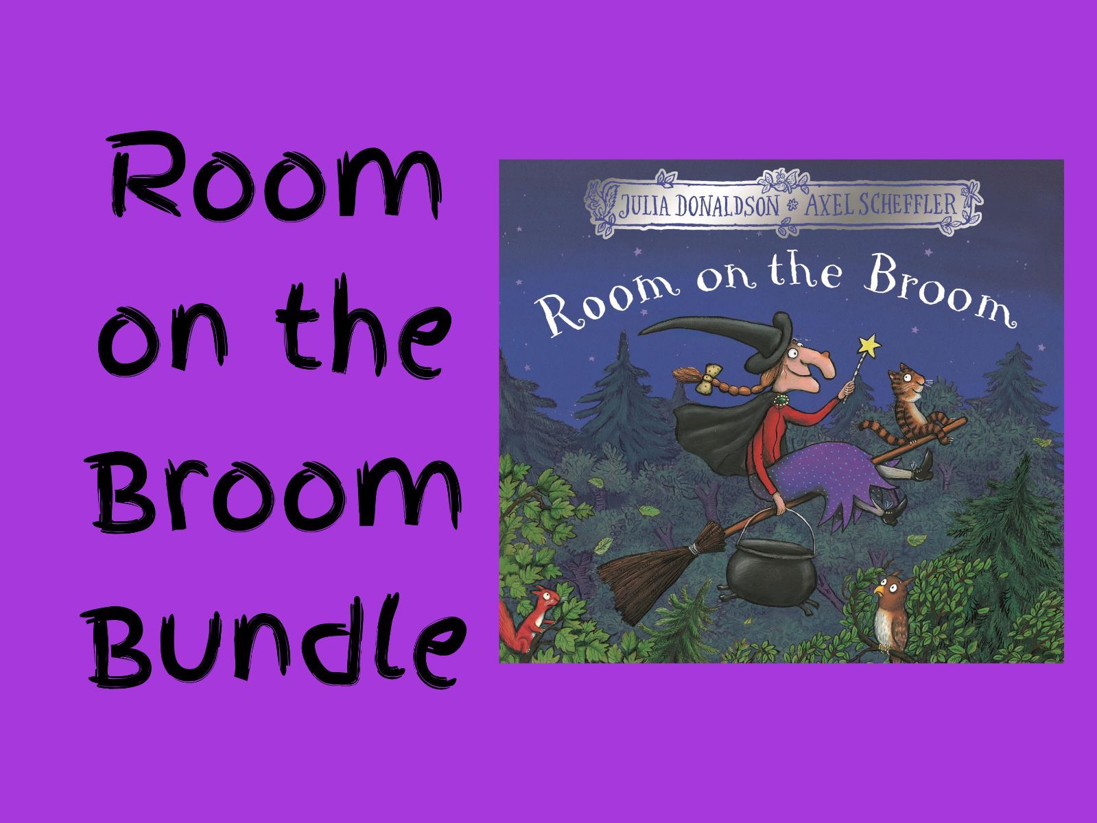 Room on The Broom - Teaching  and Provision Pack