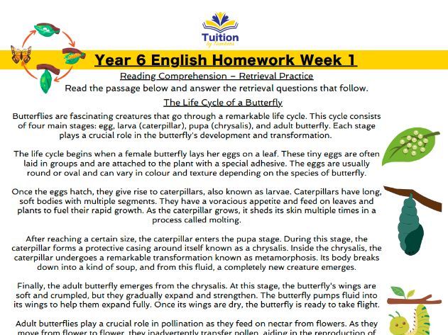 1. Year 6 - Reading Comprehension & Grammar