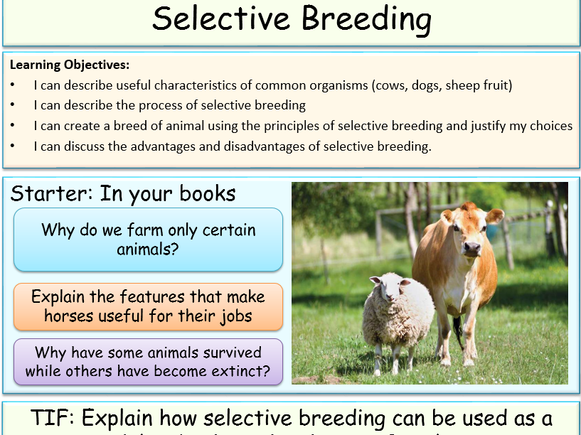 Selective Breeding