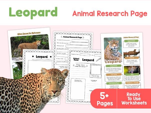 Leopard Research Worksheets | Wild Cats and Habitats