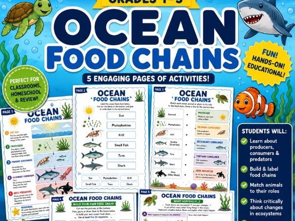 Ocean Food Chains Activities | Ocean Ecosystem Worksheets | Science Printable