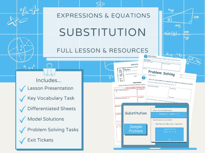 Substitution – Full Lesson with Differentiated Resources