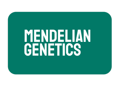 AP Biology Unit 5: Mendelian Genetics