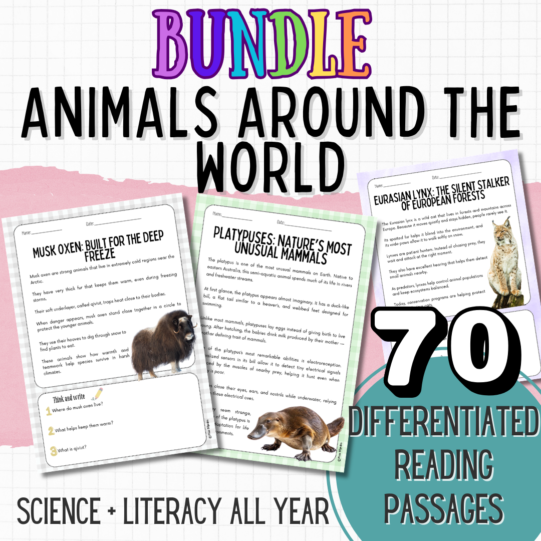 Animals Around the World Differentiated Reading Bundle | Nonfiction Science | Habitats, Adaptations & Ecosystems | KS2 / Upper Elementary