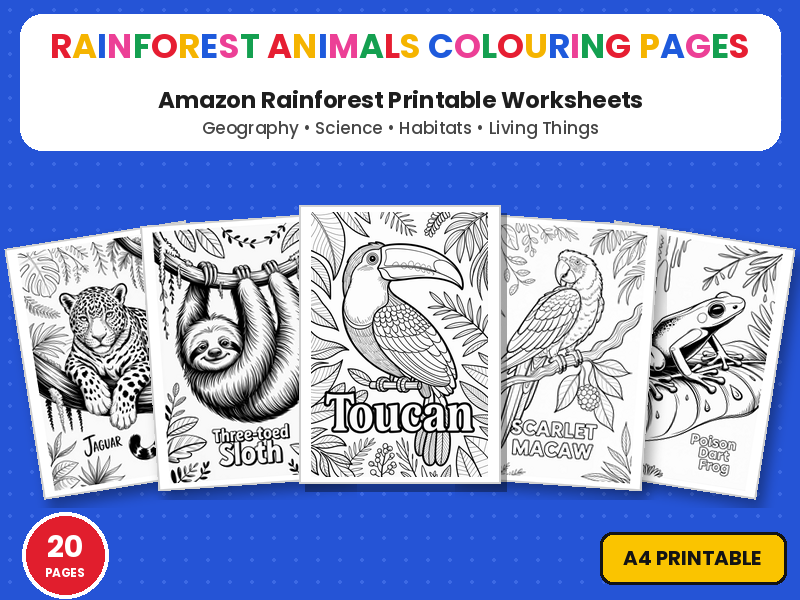 Amazon Rainforest Animals Colouring Pages | Printable Colouring Page Worksheets | Geography Science