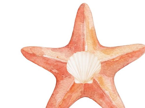 Set 1 Special Friends/Digraphs Pictures On Starfish