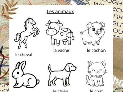Primary French animals and colours activity