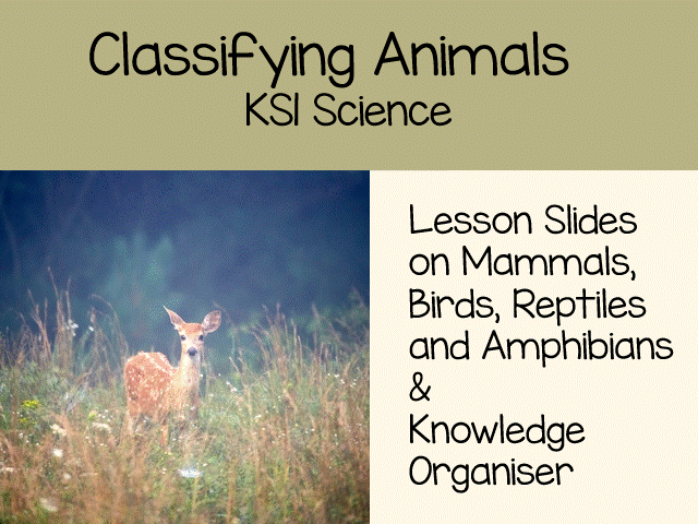 Classifying Vertebrates – Mammals, Birds, Reptiles and Amphibians (Year 2 Science)