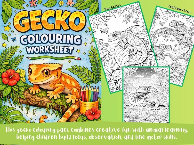 Gecko Coloring Pages | Reptile Printables