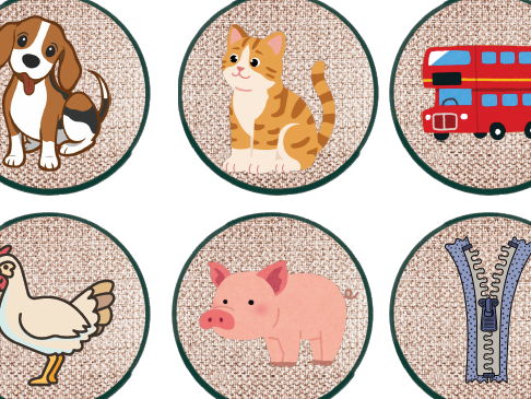 CVC Picture Discs
