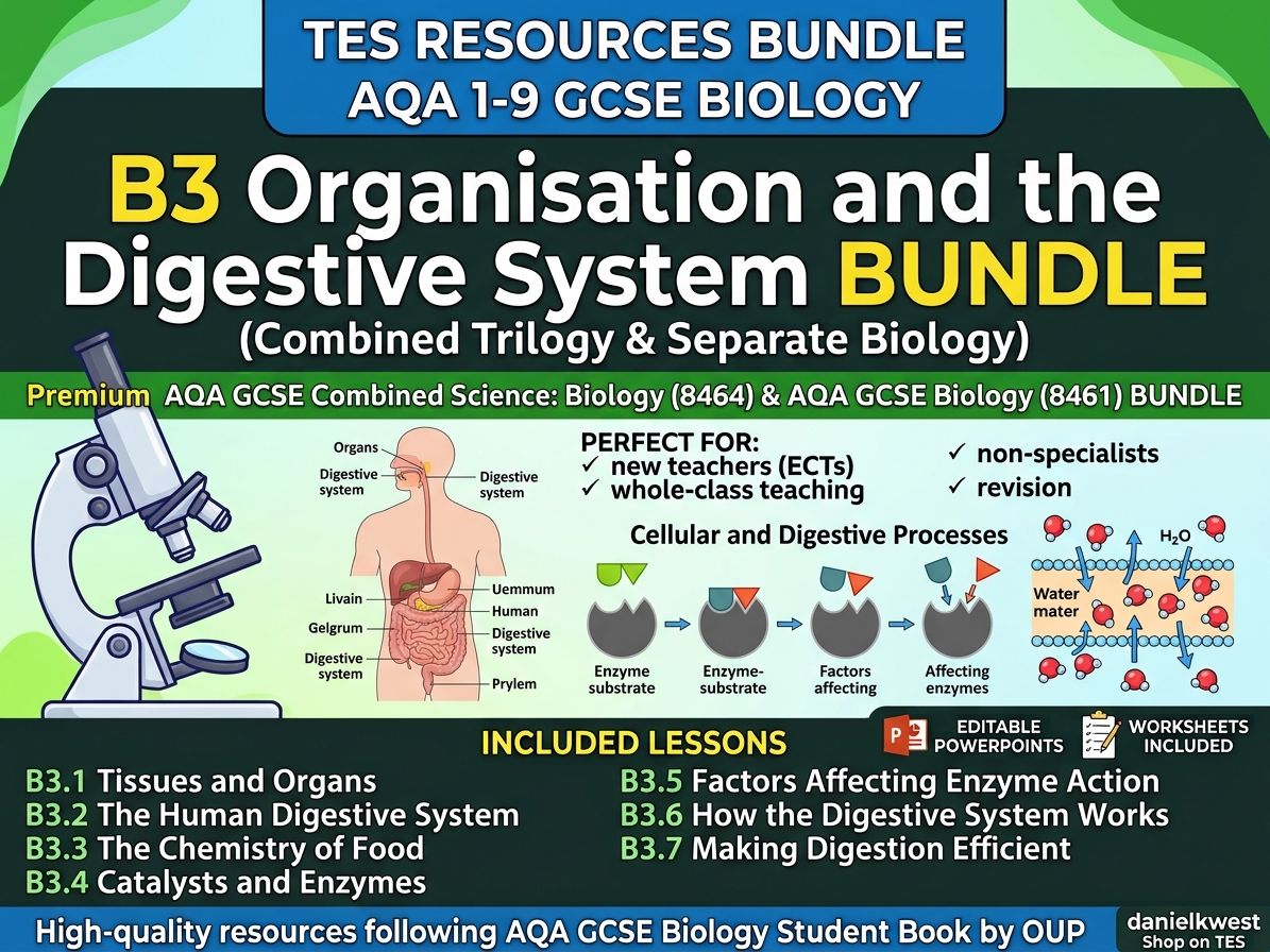 B3 Organisation and the Digestive System BUNDLE (AQA 1-9 GCSE Combined Trilogy & Separate Biology)