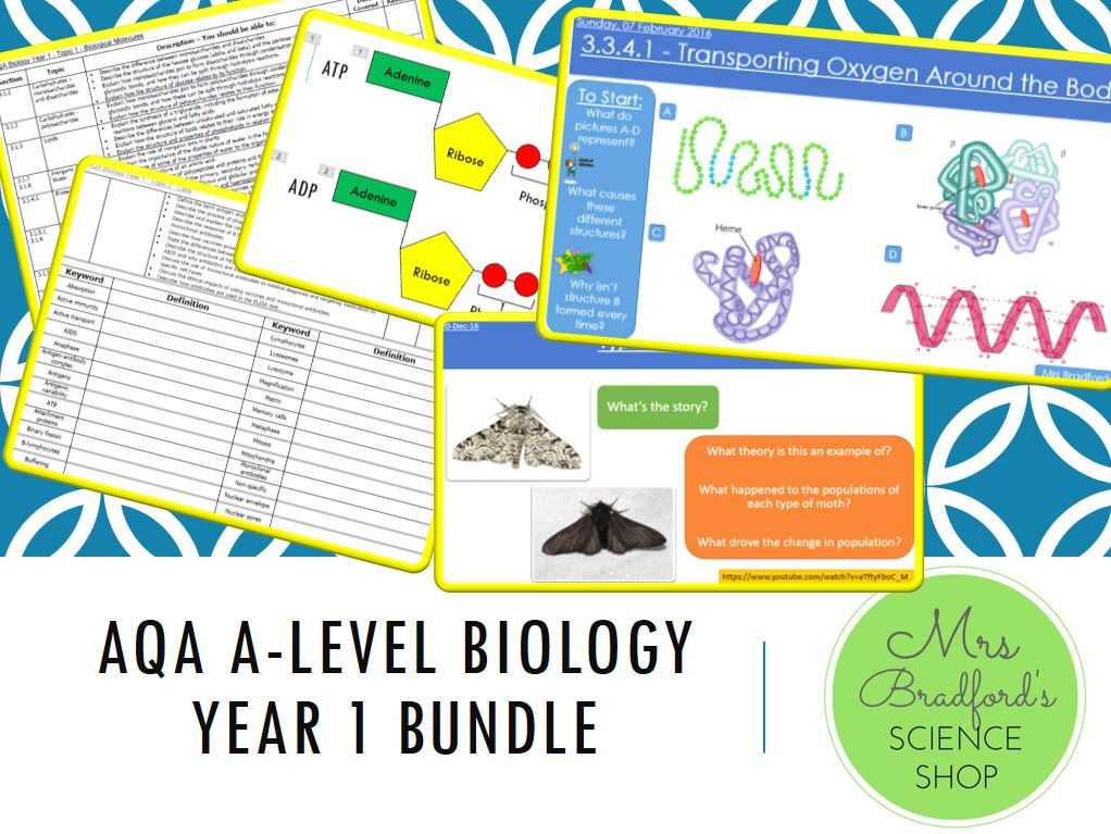 A-Level Biology Year 1 and Year 2