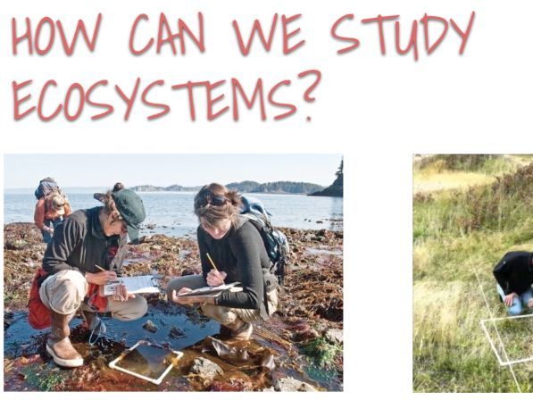 ESS 2.5 Investigating ecosystems
