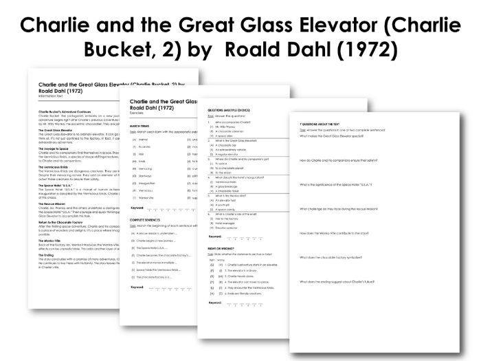 Charlie and the Great Glass Elevator (Charlie Bucket, 2) by Roald Dahl