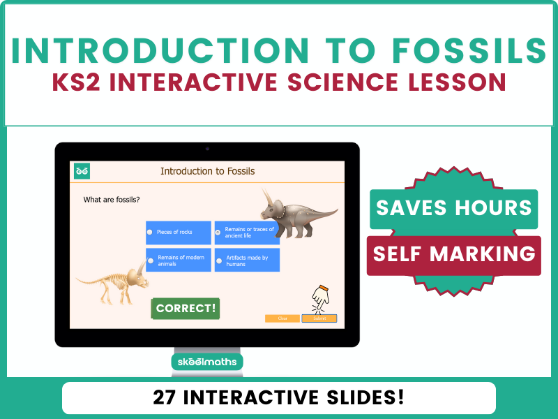 Rocks and How Fossils are Formed Digital Science Lesson with Self-Marking Activities for Year 3