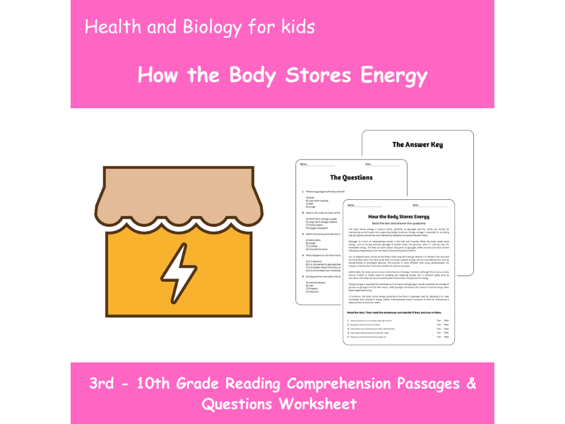 How the Body Stores Energy Reading Comprehension Passages & Questions ...