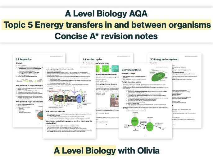 CONCISE A* photosynthesis, respiration, energy & nutrient cycles notes | AQA A Level Biology