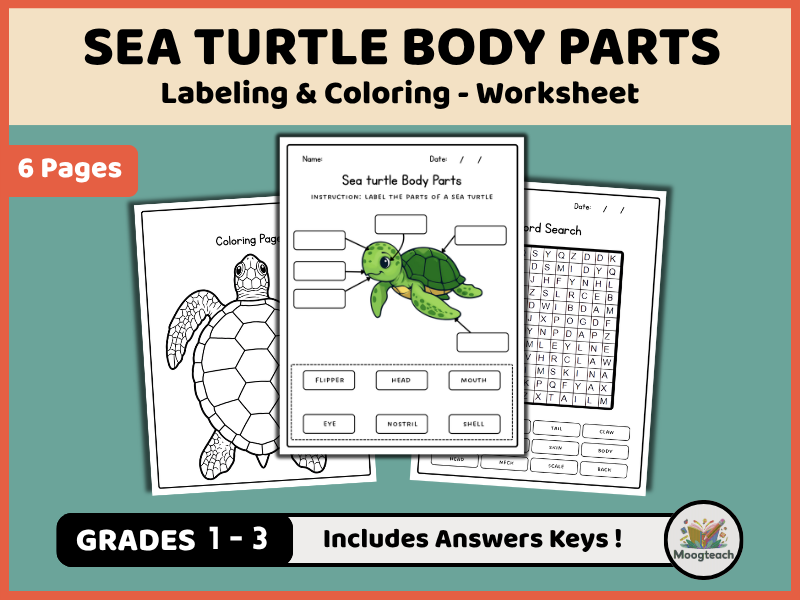 Sea Turtle Body Parts | Marine Biology | Labeling & Coloring | Reptiles | Science Worksheet | KS1 |