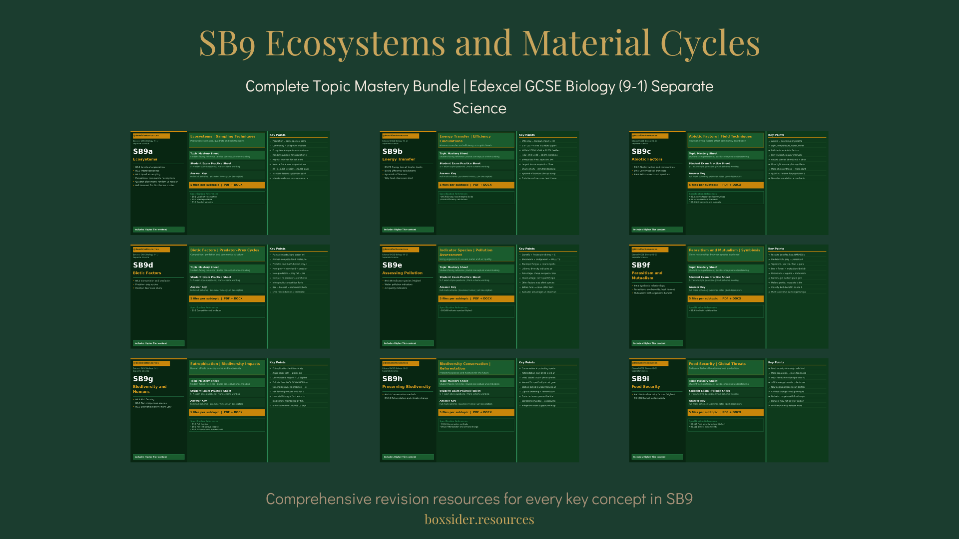 SB9 Ecosystems and Material Cycles | Complete Topic Mastery Bundle | Edexcel GCSE Biology (9–1) Separate Science