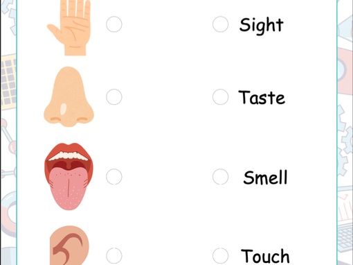 5 Senses Science Activity