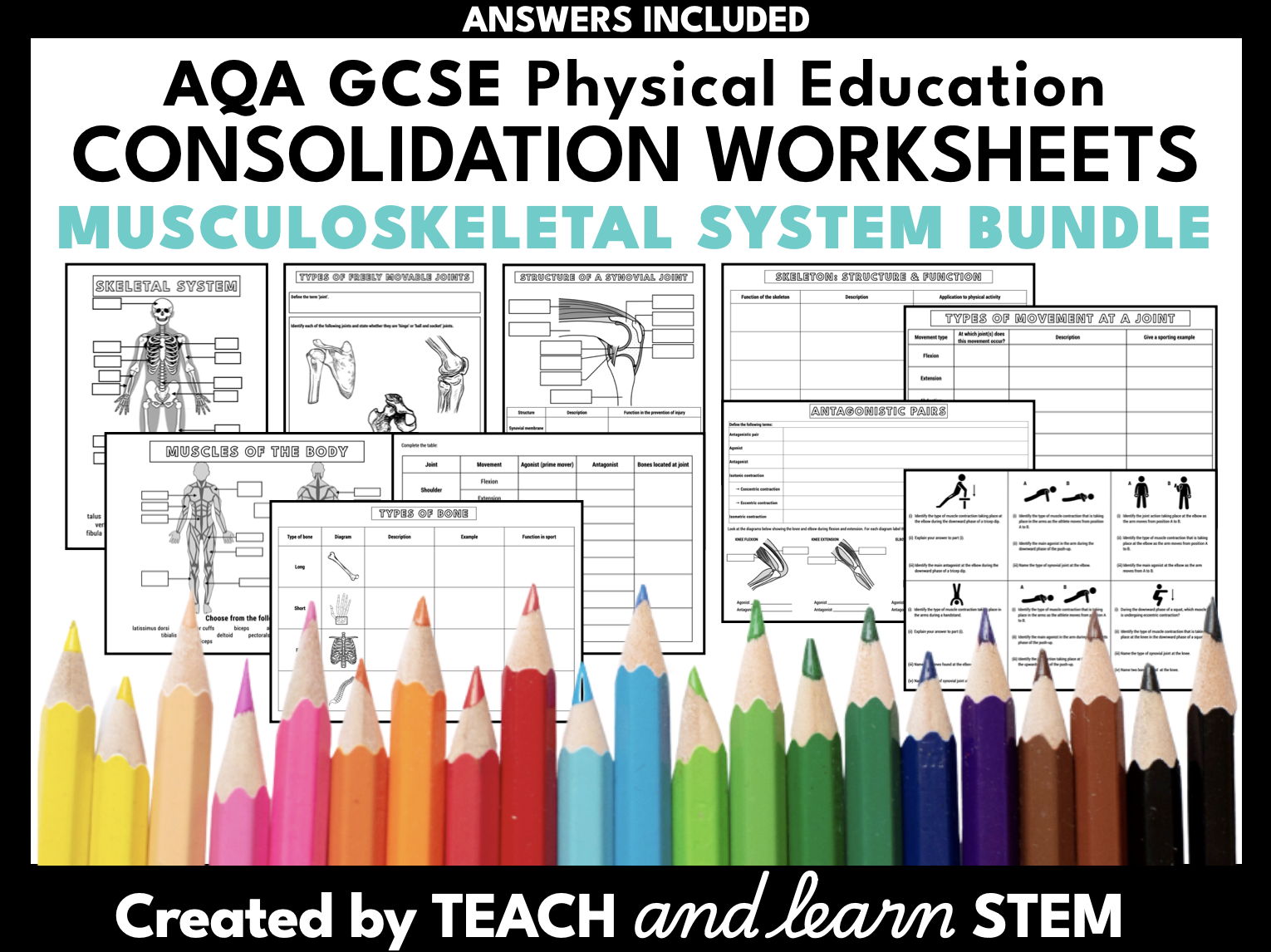 Structure and Functions of the Musculoskeletal System Summary Worksheet Bundle | AQA GCSE PE