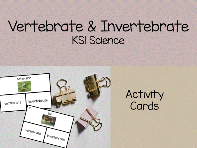 Vertebrate and Invertebrate Clip cards