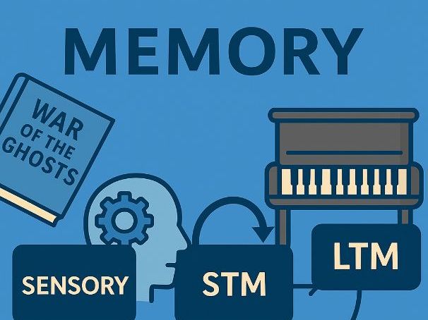 Edexcel GCSE Psychology - Memory Workbook Answers