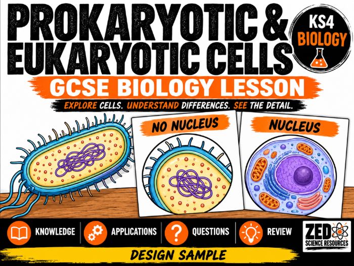 GCSE Biology: Prokaryotic and Eukaryotic Cells – Structures and Differences | KS4 Combined Science