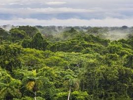 Biomes