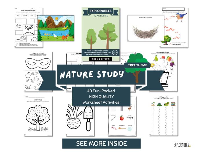 Nature  Study |Tree worksheets | Preschool | Primary School | Kindergarten | Early Years | Learn