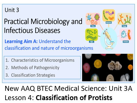AAQ BTEC Medical Science Unit 3A Classification and Nature of Microorganisms – Lesson 4: Protists