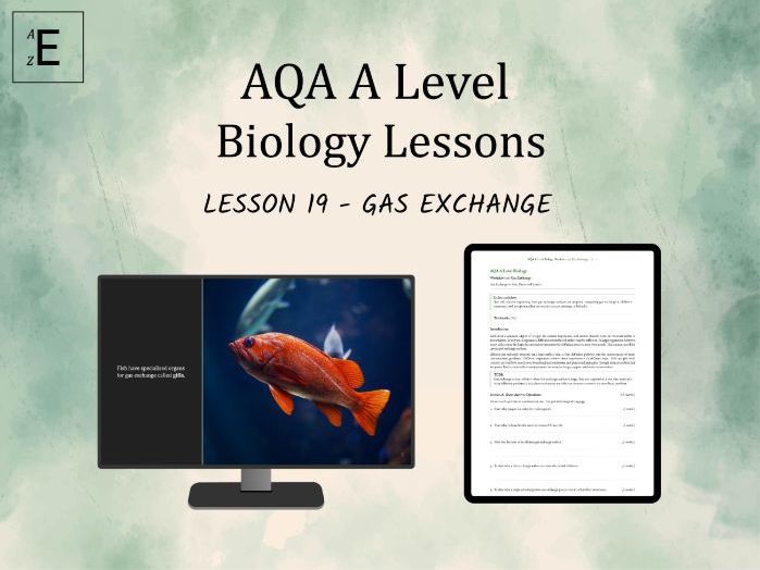 AQA A Level Biology Lesson 19 - Gas Exchange