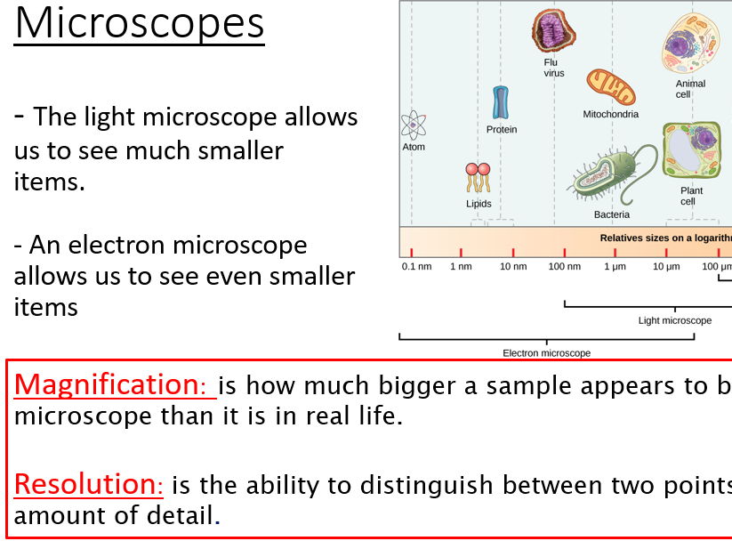 AQA GCSE Biology - Microscopy