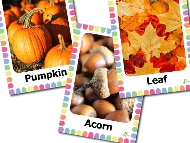 Autumn Vocabulary Flashcards with Real Photos for Preschool and Early Learners | Speech Therapy,