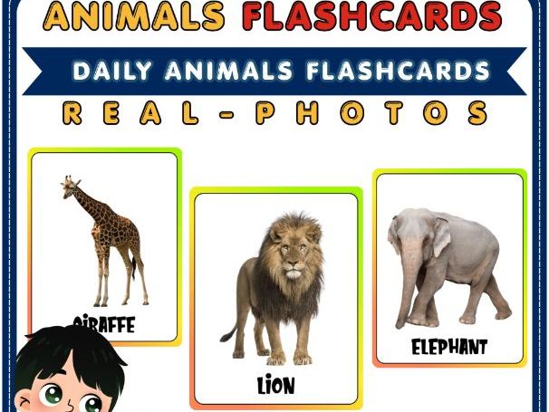 Everyday Animals Flashcards with Real Photos | Animal Vocabulary Cards | EAL & EYFS