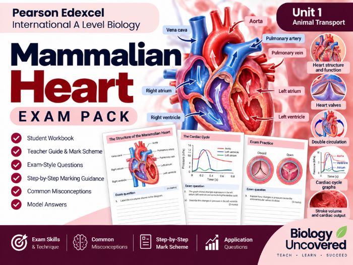 IAL Biology Unit 1: Mammalian Heart Exam Pack