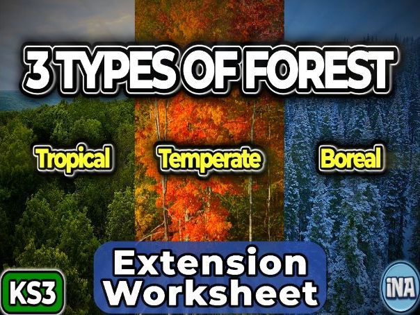 The Forests of the World - KS3 Geography Extension Pack