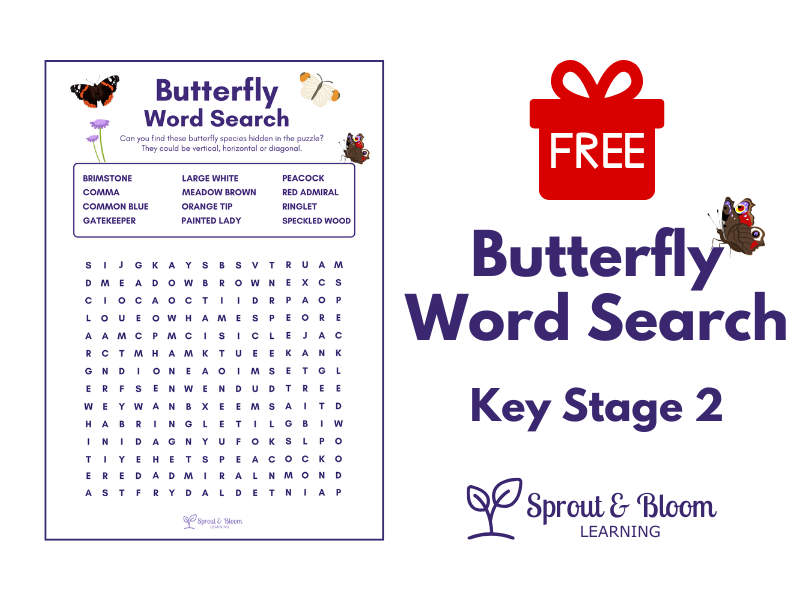 FREE Butterfly Word Search | KS2 Science | British Butterflies