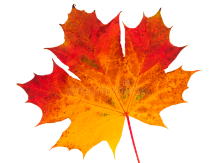 Harvest Assembly & Autumn  Poetry Resources