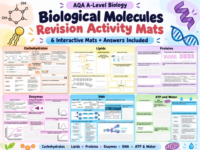 Biological Molecules Revision Mats with Answers (AQA A Level Biology)