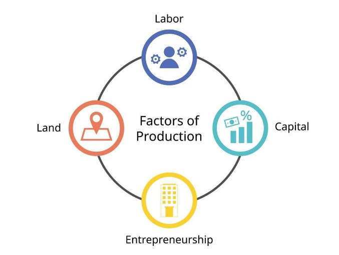 Cambridge iGCSE Economics -1.2 Factors of production