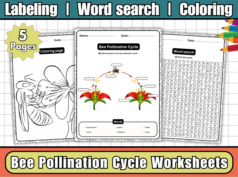 Bee Pollination Cycle – Labeling Diagram, Coloring & Word Search | Bee Science Activities for Kids