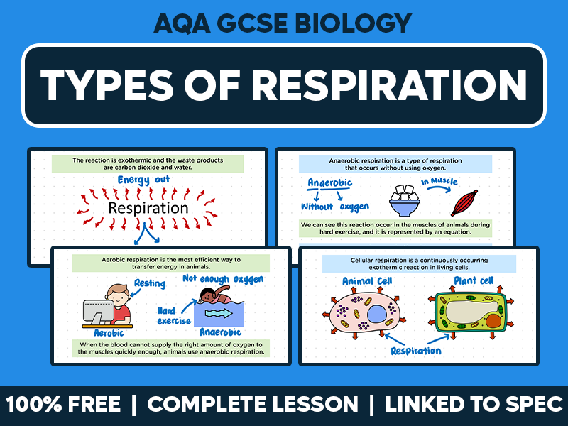 GCSE AQA Biology Complete Lesson - Types of Respiration