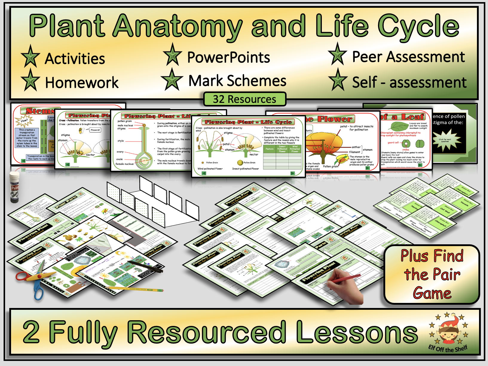 Plant Anatomy and  Lifecycle  Explained  2 Fully Resourced Lessons  Plus Find the Pair Game KS3