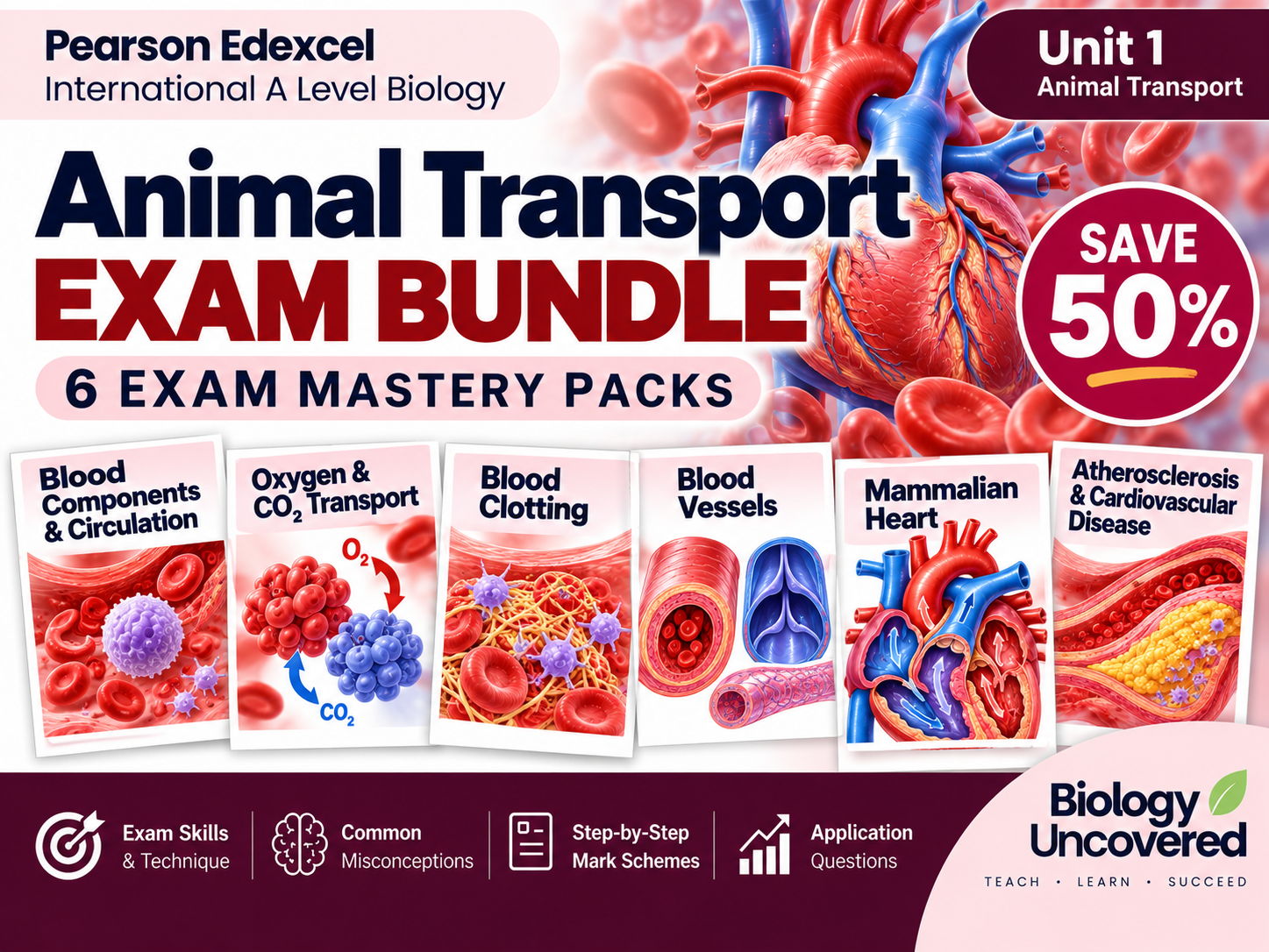 IAL Biology Unit 1: Animal Transport Exam Pack Bundle